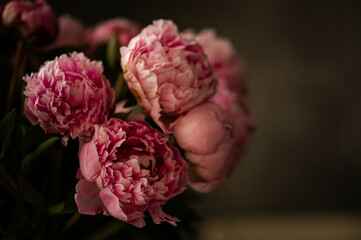 bouquet of pink peonies as a birthday and mother's day gift