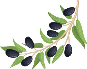 Obraz na płótnie Canvas Black olive branch. Fresh plant. Natural product sign