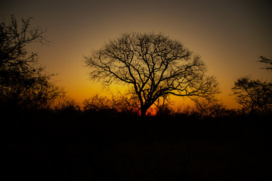 Tramonto africano