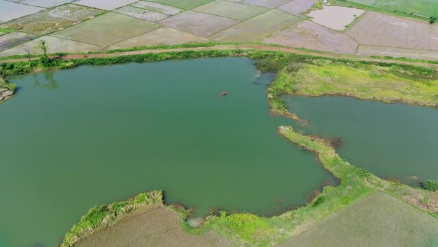 Blue water lake in the middle of the rice fields, the former lake of the red earth excavation project. Aerial View 4K Video