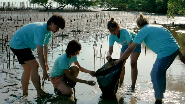Group of happy volunteers with tree seedlings, Volunteer helpers planting trees in mangrove forest for environmental protection and ecology, reduce global warming, Charity work