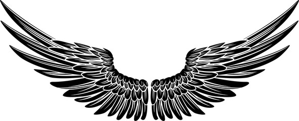 Fototapeta premium Eagle Bird or Angel Wings