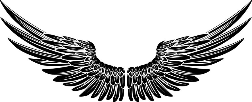 Eagle Bird or Angel Wings