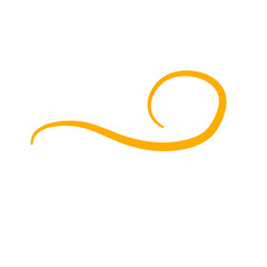 Vintage swirl flourish text divider