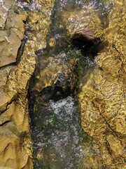 rock in the river