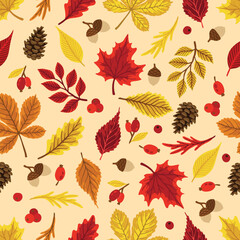Fototapeta na wymiar Autumn leaves pattern. Falling leaf seamless background with Oak, maple, chestnut, linden, aspen, walnut and rowan foliage.