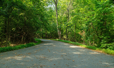 Country Road with trees