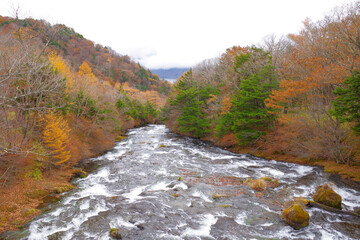 日光 秋の竜頭ノ滝