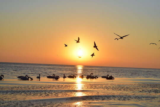 sunset on the beach © My.S.