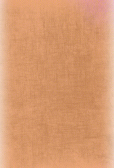 Fototapeta premium Vertical Background template Trendy classic texture for your graphic design works