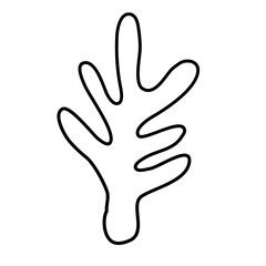 Cactus suculent decoration