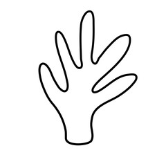 Cactus suculent decoration