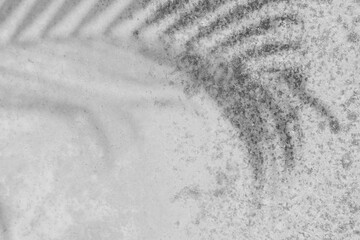 Shadow leaves on grain rough cement floor texture background 