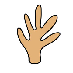 Cactus suculent decoration