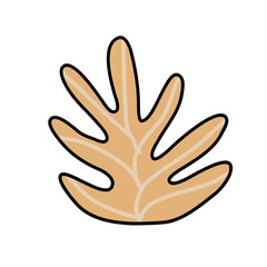 Obraz premium Cactus suculent decoration