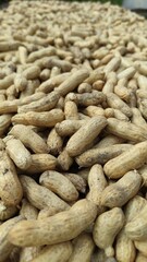 Peanut in the shell. Food background of peanuts, healthy vegan food