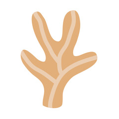 Obraz premium Cactus suculent decoration