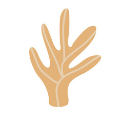 Cactus suculent decoration