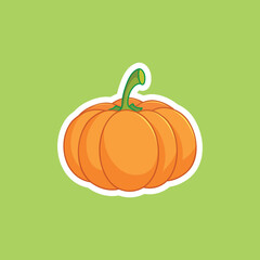 yellow pumpkin (Cucurbita moschata) is isolated on green background.