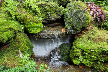 Waterfall in a small garden behind the house