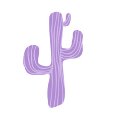 Cactus suculent decoration