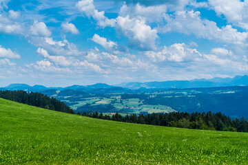 Fototapeta na wymiar Germany, Panorama view above tree tops, forest and pastures at bodensee lake nature landscape with water and blue sky in summer in allgaeu region