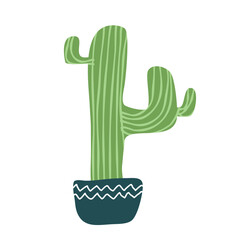 Cactus suculent decoration