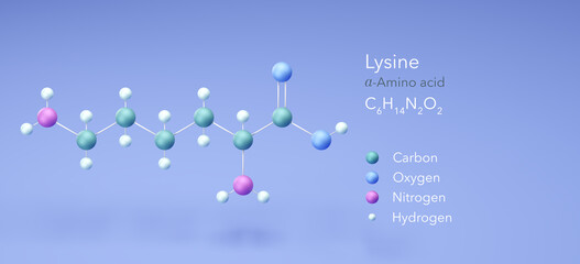 lysine, molecular structures, amino acid, 3d model, Structural Chemical Formula and Atoms with Color Coding