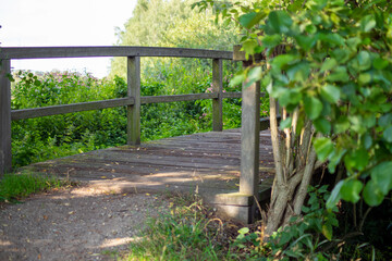 Wooden bridge in the forest over a small stream