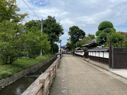 bridge in the park