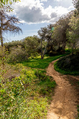 beautiful green landscapes in spring, Algarve, Portugal, 