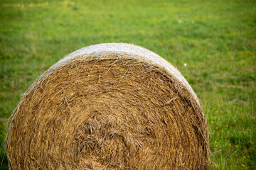 Hay bales on a meadow in September