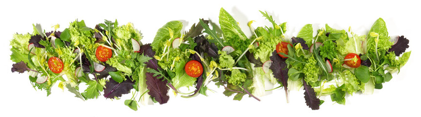 Salat Panorama mit Sprossen - Freigestellt auf weiß