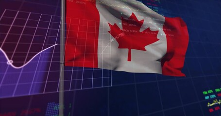 Animation of waving canada flag over financial data processing - Powered by Adobe