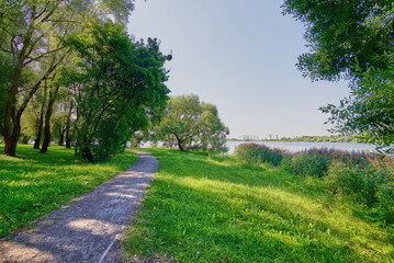 footpath in the park