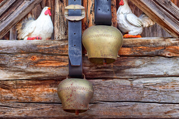Decorative cow bells