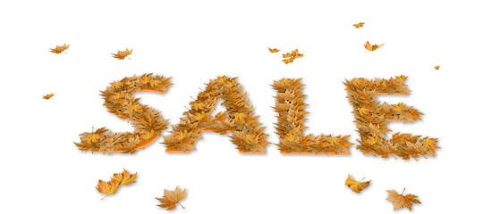 sale sales text word with dry autumn leaves fallen and flying - 3d rendering