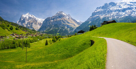 alpine meadow in Grindelwald village with path and Eiger mountain in Switzerland