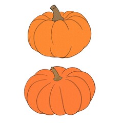 Pumpkin watercolor drawing free hand. Pumpkin for Thanksgiving. Bright pumpkin for Halloween