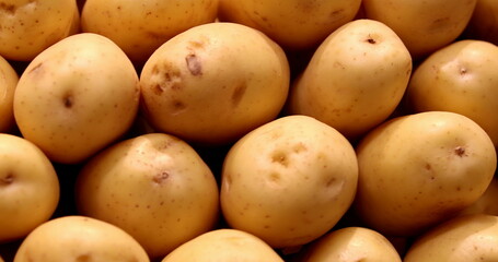 Pile of potatoes gathered together at grocery on display
