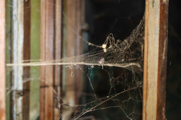 spider web in an old house, scary and dirty for Halloween