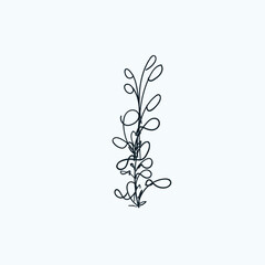 Hand drawn abstract imagination plant
