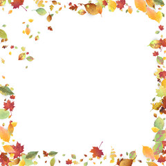 Leaves Falling Autumn Foliage Chaotic Leaf Flying