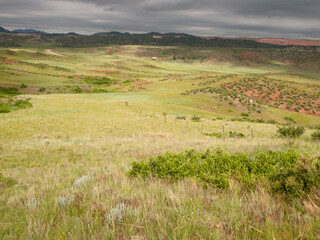 Fototapeta premium Landscape