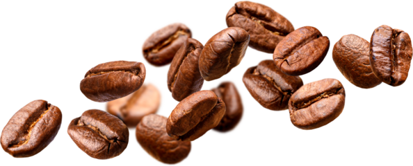 Roasted coffee beans isolated