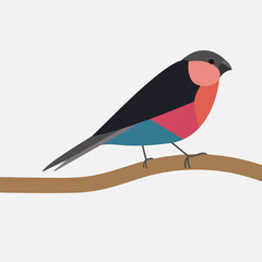 Bullfinch icon in flat style. Winter bird. Vector illustration