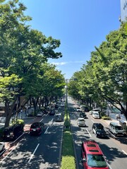 cars on the road