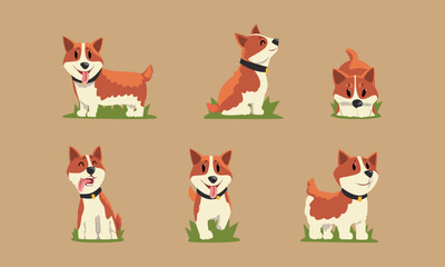Funny Welsh Corgi Dog with Brown Coat and Collar on Green Grass Vector Set