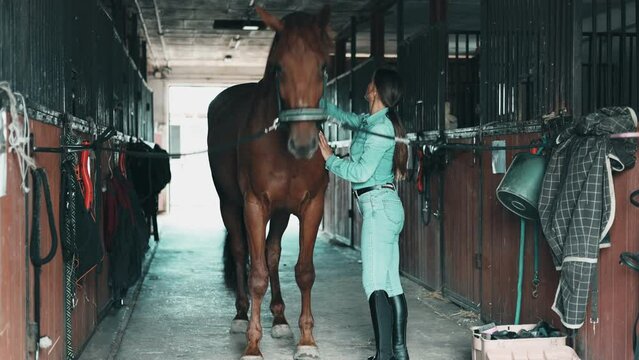 Woman taking care of her horse in stable
