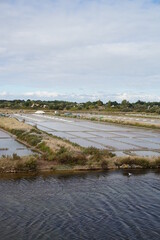Marais Salants Noirmoutier